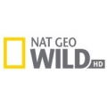 Nat Geo Wild HD