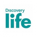 Discovery life HD